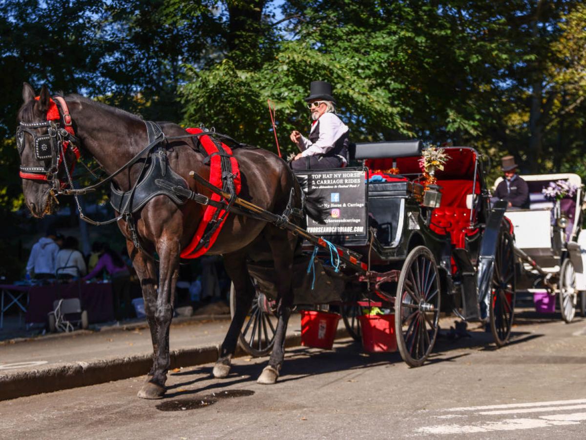 El último trote de los carruajes de caballos en Nueva York: Mamdani protege a los animales y pone fin a una era