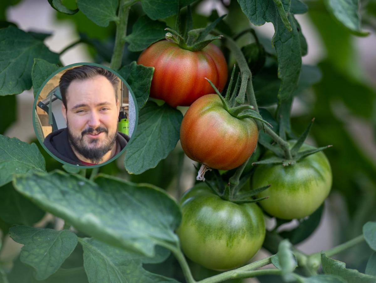 De Madrid a un pueblo del Bierzo: José cuenta cómo su primer huerto transformó su día a día: "Es difícil de explicar hasta que lo vives"