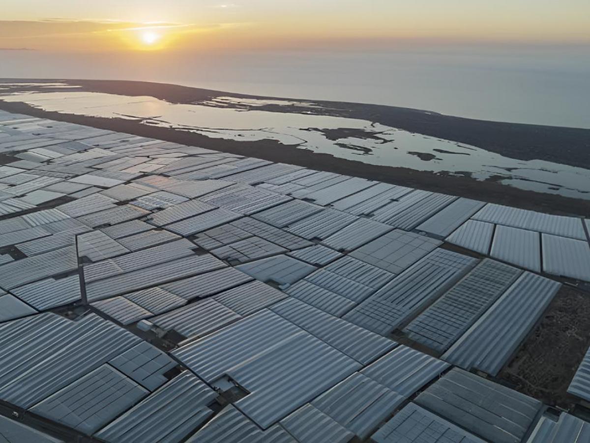 En 1963 un agricultor de Almería cubrió su parcela con plástico para adelantar la cosecha: hoy 32.000 hectáreas se ven desde el espacio y han enfriado la provincia
