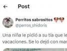 Una niña le pide a su tía que cuide a su perro en vacaciones y ojo a las instrucciones que le da