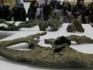 Una mina de dinosaurios entre el carbón de Teruel