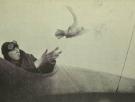 La ciencia lo confirma: las palomas mensajeras tienen la capacidad de aprender socialmente cuáles son las mejores rutas para volar a casa