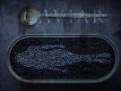 Caviar