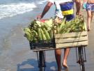 De Roma a Fregene: un paraíso entre cocos, mazorcas y sandías
