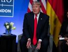 Trump no tiene quien le quiera en la OTAN