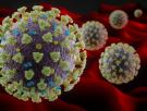 ¿Debemos preocuparnos por la nueva variante del coronavirus?