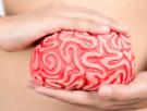 ¿Tratar las úlceras de estómago a partir del cerebro? El diálogo del estómago con el cerebro