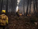 La espiral tras los incendios que devastan España y Europa
