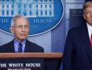 Qué pasa con Fauci, el ‘Simón estadounidense’ al que Trump quiere ‘merendarse’