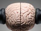 El entrenamiento musical rejuvenece el cerebro