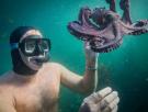 Del documental al 'buddy film': 'My Octopus Teacher'