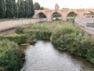 Definitivo: El 7 de agosto se abre la presa y el Manzanares correrá libre y natural