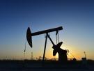 La Agencia Internacional de la Energía aprueba la mayor liberación de barriles de petróleo de su reserva en la historia, con 400 millones