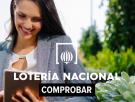 Comprobar Lotería Nacional en directo hoy jueves 8 de mayo: resultados y números afortunados