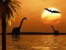 Una científica del CSIC reescribe la historia y halla la prueba más antigua de cuidado materno, hace 125 millones de años, en plena era de los dinosaurios