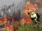 Federico Grillo, experto en incendios forestales: "Por cada euro que inviertes en prevención, reduces 100 en la factura de la extinción"