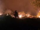 Los incendios de 2025 se convierten en los peores de los últimos 20 años