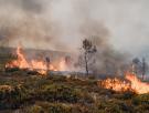 El humo de los incendios forestales puede ser más letal que el fuego: cómo protegerse de sus partículas tóxicas