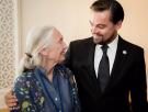 "Eres mi heroína": la emotiva despedida de Leonardo Dicaprio a su "querida amiga" Jane Goodall