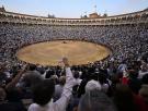 Los toros seguirán siendo patrimonio cultural gracias a la abstención del PSOE (y de Ábalos)