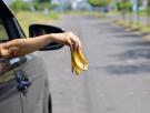 Lanzan un recado a los que tiran las cáscaras de los plátanos a la tierra diciendo que se convertirán en abono