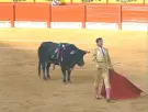 Una corrida de toros de 1997 con un torero de Vox pero no la marcha por la dana: exigen la dimisión de la dirección de la cadena pública valenciana À Punt