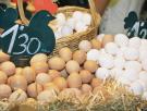 ¿Qué está pasando con el precio de los huevos en España? Spoiler: la culpa no es solo de la gripe aviar