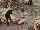 En el homenaje de despedida a Jane Goodall en Madrid: "Celebramos a un homo sapiens que, entre tantos que nos dan vergüenza a diario, era extraordinario"