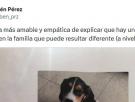Adopta un perro y el cartel que cuelga en la comunidad de vecinos da la vuelta a España: la respuesta de uno de ellos triunfa