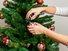 Enseña lo que hace con su árbol de Navidad y se monta la marimorena: las reacciones se cuentan por cientos