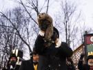 La marmota Phil ha dado su veredicto: tendremos seis semanas más de invierno