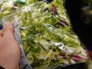 Un experto en seguridad aclara si hay peligro de verdad en las ensaladas de bolsa o no