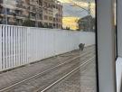 Abatido un jabalí que se coló en las vías del Metro de València