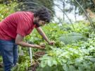 Carlo, agricultor (35), planta su tractor en plena ciudad para vender sus propias patatas: "Es la única manera de intentar sobrevivir"