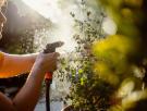 Los jardineros coinciden: este simple gesto en casa tiene un impacto mayor del que se puede pensar