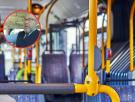 El conductor de un coche increpa a un autobusero y su reacción es digna de empleado del mes y del año