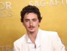 El comentario de Timothée Chalamet sobre la ópera y el ballet entorpece su carrera al Oscar: ¿peligran sus opciones de ganar?