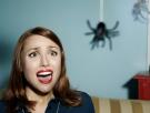 Los científicos no dan crédito: descubren por qué evitamos mirar a las arañas aunque sepamos que están ahí