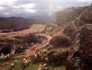 Los últimos pastores de la serranía de Cuenca coinciden: "No quedan ya rebaños en el campo: los están comprando los ganaderos pakistaníes y marroquíes"