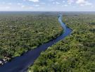 Buenas noticias para el mundo: el nivel de deforestación en el Amazonas cae a su nivel más bajo desde 2019, pero las amenazas continúan