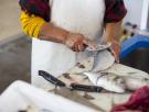 En China, una pescadera usa la IA para ajustar su menú al gusto de los jóvenes: en Europa, la pregunta ante la misma tecnología es si nos quitará el trabajo