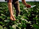 Marta Rivera, doctora en agroecología: "A la izquierda le falta darse cuenta de que el futuro está en el campo, y mientras tanto Vox capitaliza el malestar rural"