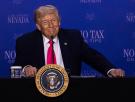 No va a ser fácil, Donald: esta es la única manera que existe para que España abandone la OTAN