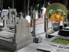 Los científicos descubren 5,5 millones de abejas viviendo bajo las tumbas de un cementerio: el mayor asentamiento de abejas solitarias jamás registrado