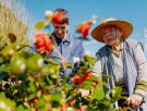Rosa (100 años) hace 120 ejercicios de pies cada mañana y 1.000 pasos al día: "Me pregunto quién se va antes, mi diente que se mueve o yo"