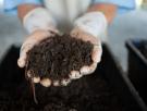 Raquel Camarero, emprendedora rural que ya factura 20.000 euros en Torresandino (565 habitantes): "En el colegio nos decían que aquí no tendríamos futuro"