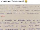 Un profesor de Historia comparte la referencia que ha dejado un alumno al hablar de 'Las meninas': "Esto es un 12"