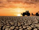 Jaime Martínez Valderrama, científico del CSIC, sobre el 41% del territorio degradado por la desertificación en España: "Es una amenaza directa a la seguridad hídrica y alimentaria"