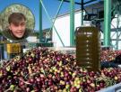 El responsable de una almazara aclara por qué hay aceites de oliva que son más verdes que otros