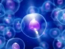Edmund Moody, biólogo de la Universitat de Barcelona que rastrea el ancestro común de toda la vida en la Tierra: "Puede ayudarnos a preparar el entender cómo puede cambiar la vida en el futuro"